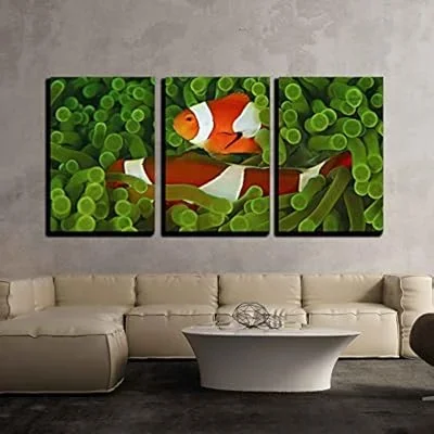 3 Piece Canvas Wall Art – Anemone and Nemo – Modern Home Art Stretched and Framed Ready to Hang – 24