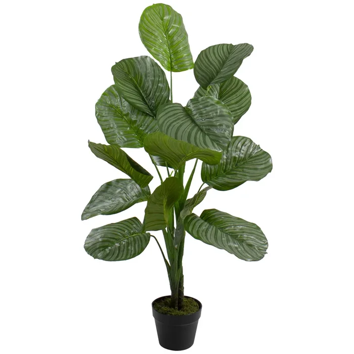 4′ Potted Two Tone Green Calathea Artificial Floor Plant