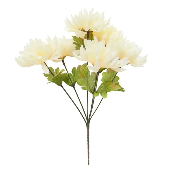 6-Head Mum Bush