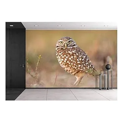 a Standing Owl – Removable Wall Mural | Self-Adhesive Large Wallpaper – 66×96 inches