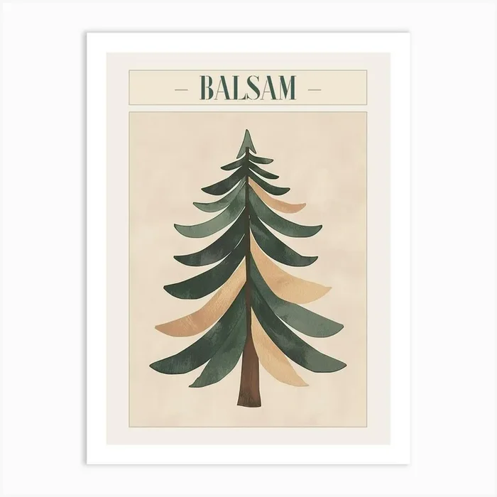 Balsam Tree Minimal Japandi Illustration 2 Poster Art Print by Bough And Bloom Artistry