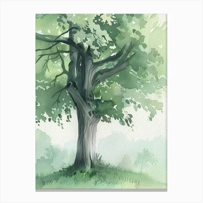 Beech Tree Atmospheric Watercolour Painting 3 Canvas Print by Bough And Bloom Artistry