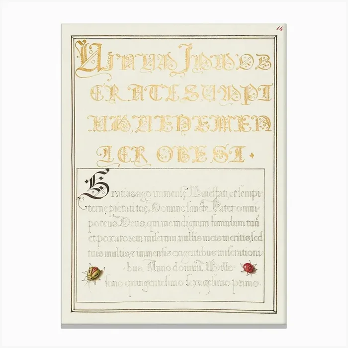 Beetlelike Insects From Mira Calligraphiae Monumenta, Joris Hoefnagel Canvas Print by Fy! Classic Art Prints and Posters
