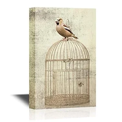 Canvas Wall Art – Bird Sitting on Bird Cage on Vintage Background – Gallery Wrap Modern Home Art | Ready to Hang – 16×24 inches