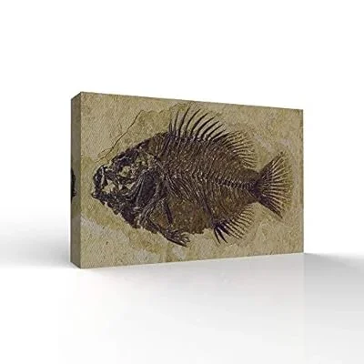 Canvas Wall Art – Fish Fossil – Office Modern Home Art Stretched and Framed Ready to Hang – 12×18 inches