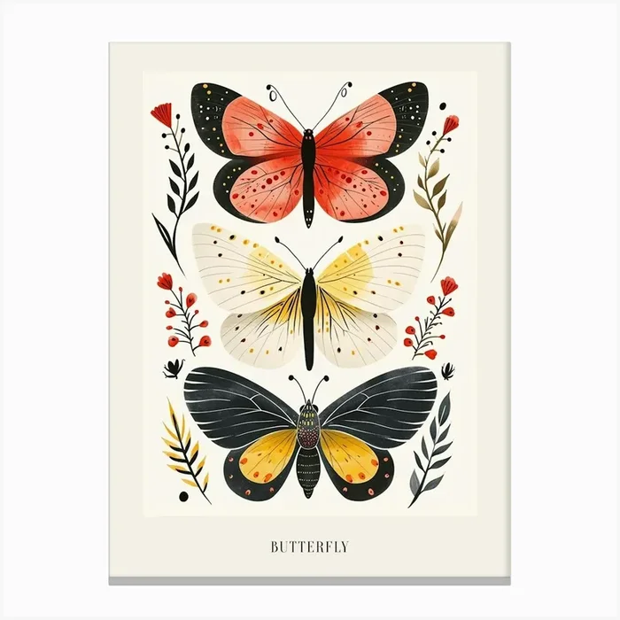 Colourful Insect Illustration Butterfly 17 Poster Canvas Print by Ritual Art Prints