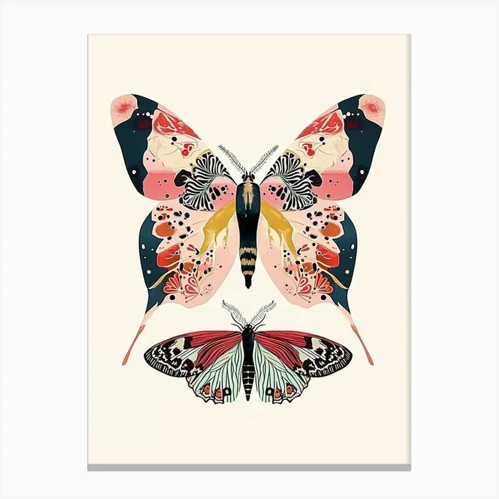 Colourful Insect Illustration Butterfly 26 Canvas Print by Ritual Art Prints