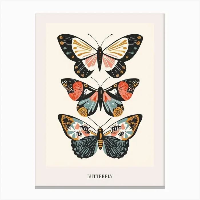Colourful Insect Illustration Butterfly 9 Poster Canvas Print by Ritual Art Prints