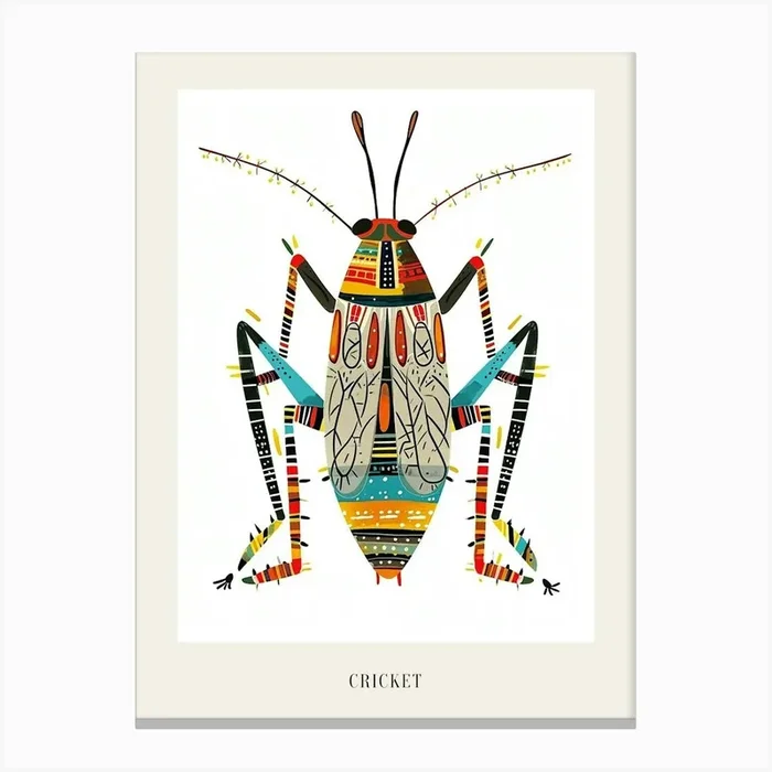 Colourful Insect Illustration Cricket 12 Poster Canvas Print by Ritual Art Prints