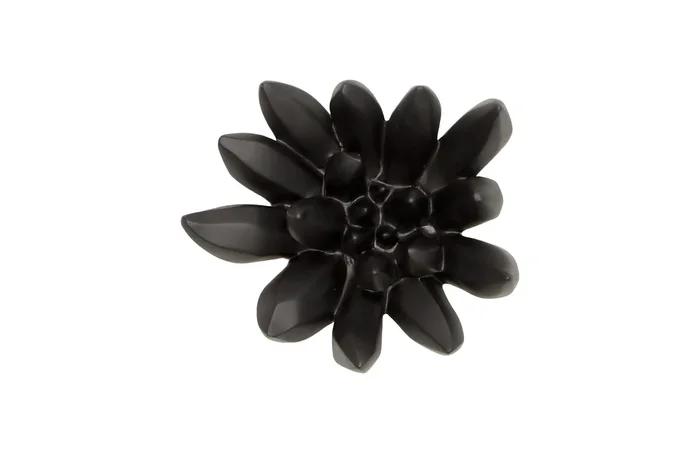 Compactum Succulent Wall Art on Matte Black
