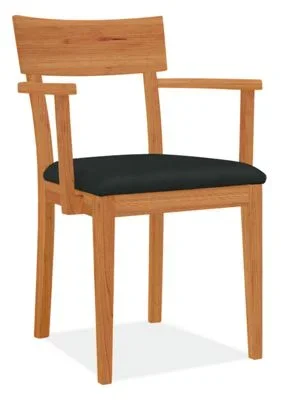 Doyle Leather Chair – Modern Dining Room & Kitchen Furniture – Room & Board