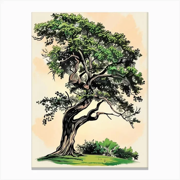Ebony Tree Storybook Illustration 4 Canvas Print by Bough And Bloom Artistry