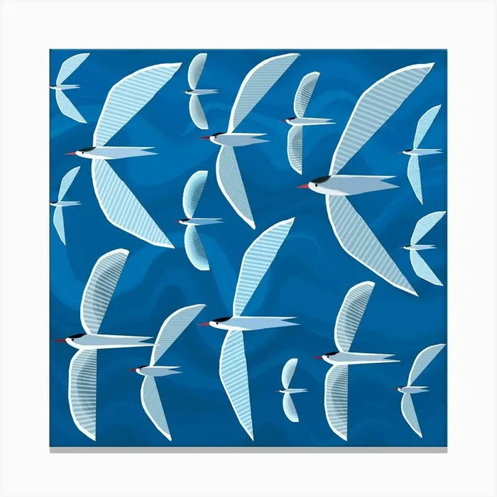 Flock of Seagulls 1 Canvas Print by Andrew Hitchen