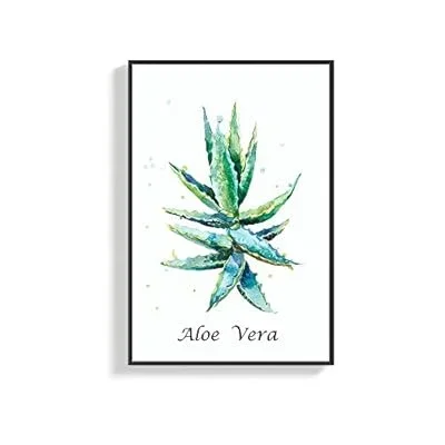 Framed Canvas Wall Art for Living Room, Bedroom Aloe Canvas Prints for Home Decoration Ready to Hang – 16×24 inches