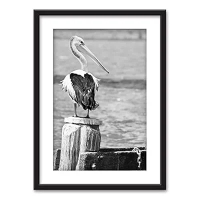 Framed Wall Art – A Pelican in Black White – Black Picture Frames White Matting – 23×31 inches