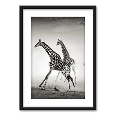 Framed Wall Art – Running Giraffes in Black White – Black Picture Frames White Matting – 23×31 inches