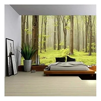 Green Misty Forest Mural – Wall Mural, Removable Sticker, Home Decor – 66×96 inches