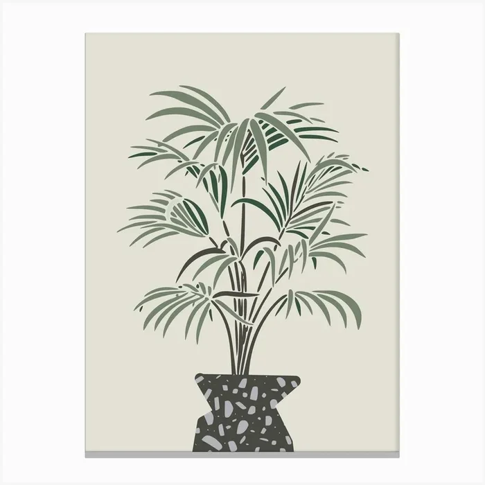 Indoor Pot Palm Canvas Print by Little Dean