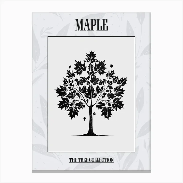Maple Tree Simple Geometric Nature Stencil 1 Poster Canvas Print by Bough And Bloom Artistry