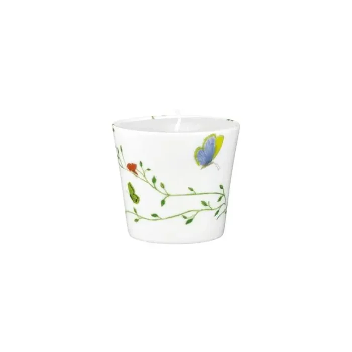 Natural History Candle by Raynaud