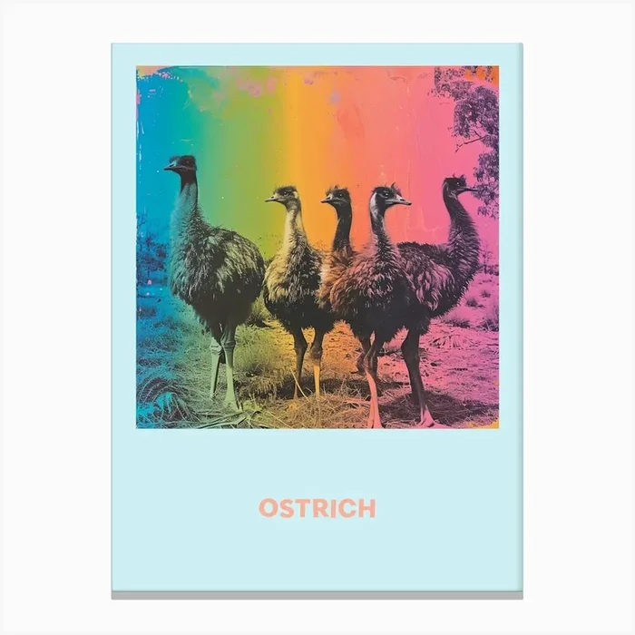 Ostrich Rainbow Poster 4 Canvas Print by Bubblegum Kitsch
