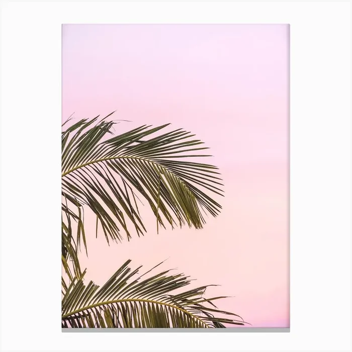 Pink Palm Sunset Canvas Print by Indio Page