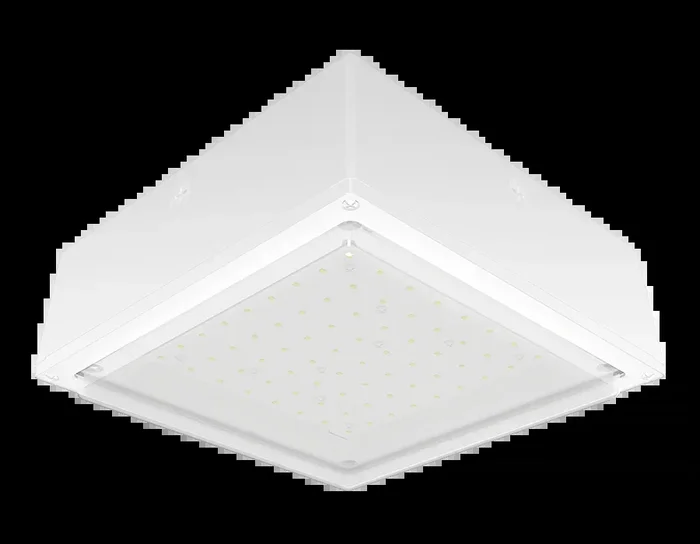 RAB VanLED 52W 3000K Drop Frosted Lens 480V 0-10V White (VANLED52YFRW/480)