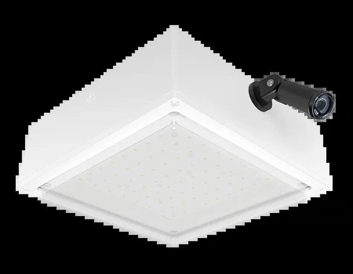RAB VanLED 52W 4000K Drop Frosted 480V 0-10V Swivel Photocell White (VANLED52NFRW/480/PCS4)