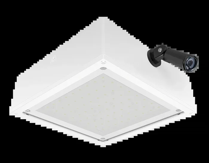 RAB VanLED 75W 5000K Flat Frosted 480V 0-10V Swivel Photocell White (VANLED75FFRW/480/PCS4)