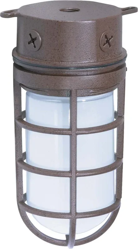 SATCO/NUVO 1 Light-10 Inch Industrial Style Surface Mount With Frosted Glass (SF76-625)