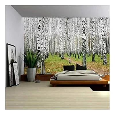 Wall26 – A Small Pathway in a Tall Brich Tree Forest – Wall Mural, Removable Sticker, Home Decor – 66×96 inches