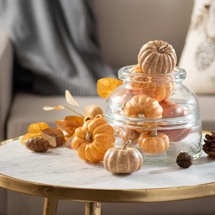 Weathered Harvest Thanksgiving Mixed Orange Pumpkin & Gourd Set of 9