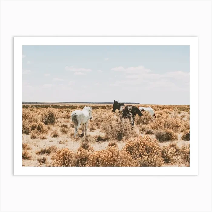 Wild Horses In Desert Art Print by Indio Page