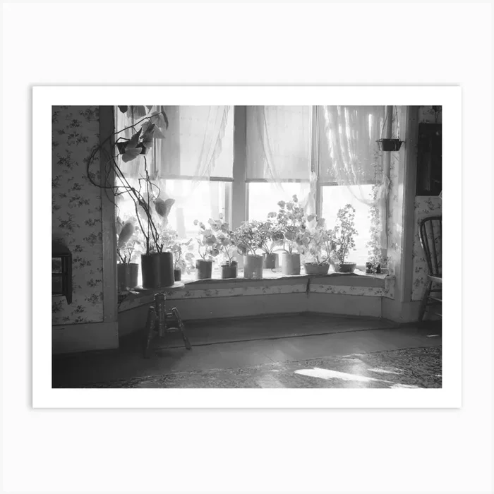 Window Of Farmhouse Living Room, Mercer County, Illinois, Hired Man Lives In House On Farm Which Was Formerly Art Print by Fy! Classic Art Prints and Posters