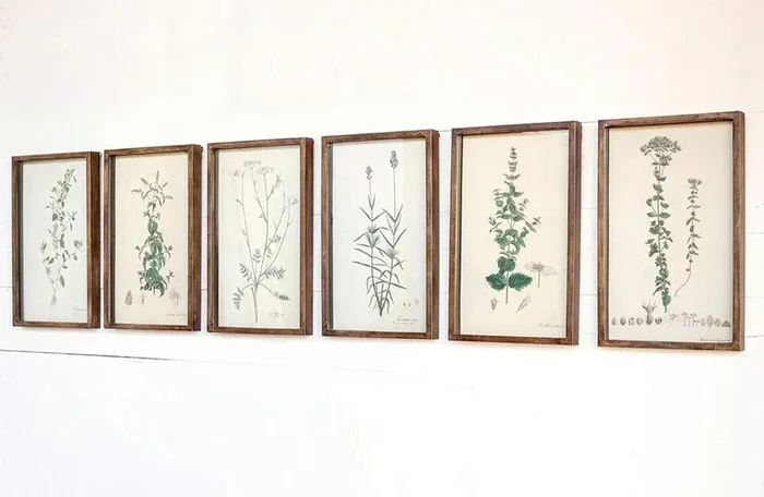 Wooden Framed Botanical Prints Set of 6 – Vintage Botanical Prints – Decor Steals