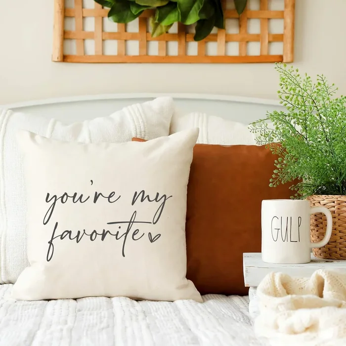 You’re My Favorite Throw Pillow Cover 18×18 – Decor Steals